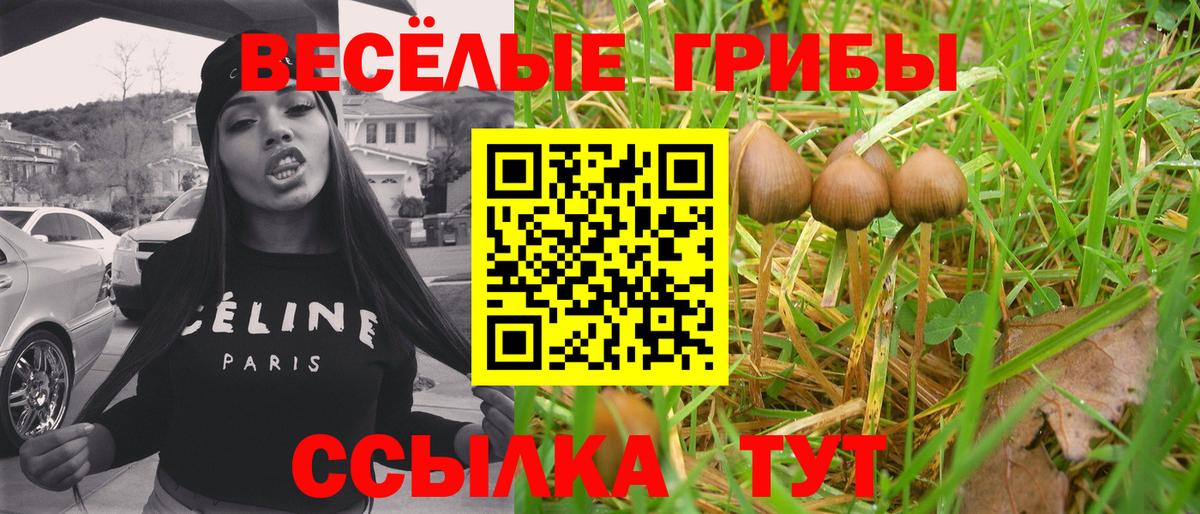 Сибай  Галлюциногенные грибы MAGIC MUSHROOMS  купить   Вход с VPN 