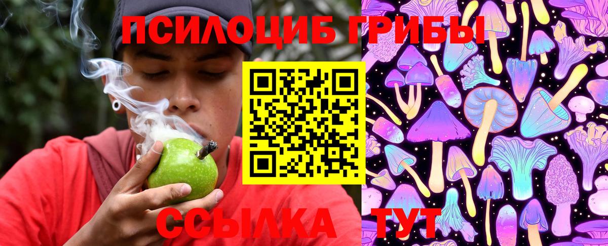 Галлюциногенные грибы Psilocybe Сибай